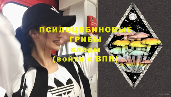 гидропоника Алексеевка