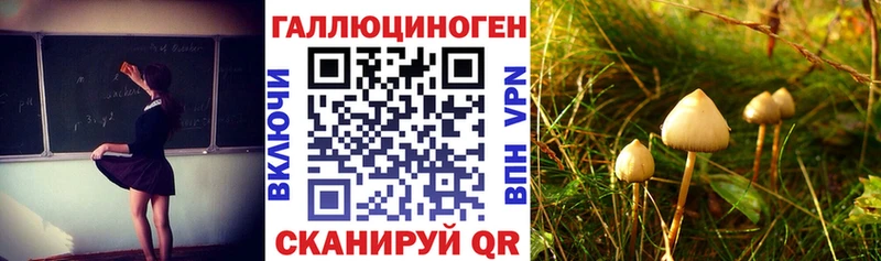 купить закладку  Нестеров  Галлюциногенные грибы мицелий 